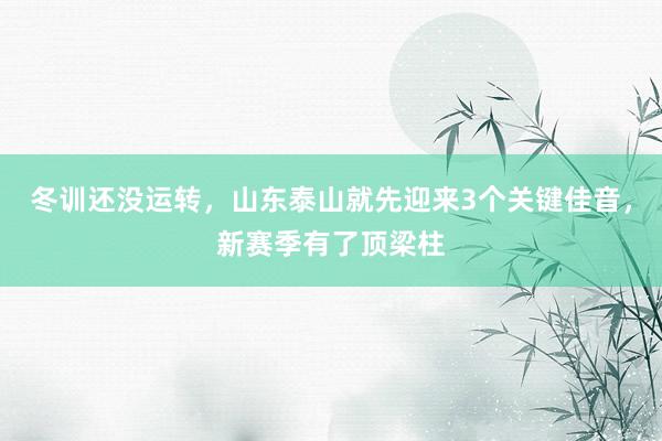 冬训还没运转，山东泰山就先迎来3个关键佳音，新赛季有了顶梁柱