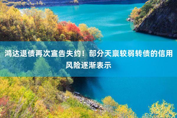 鸿达退债再次宣告失约！部分天禀较弱转债的信用风险逐渐表示